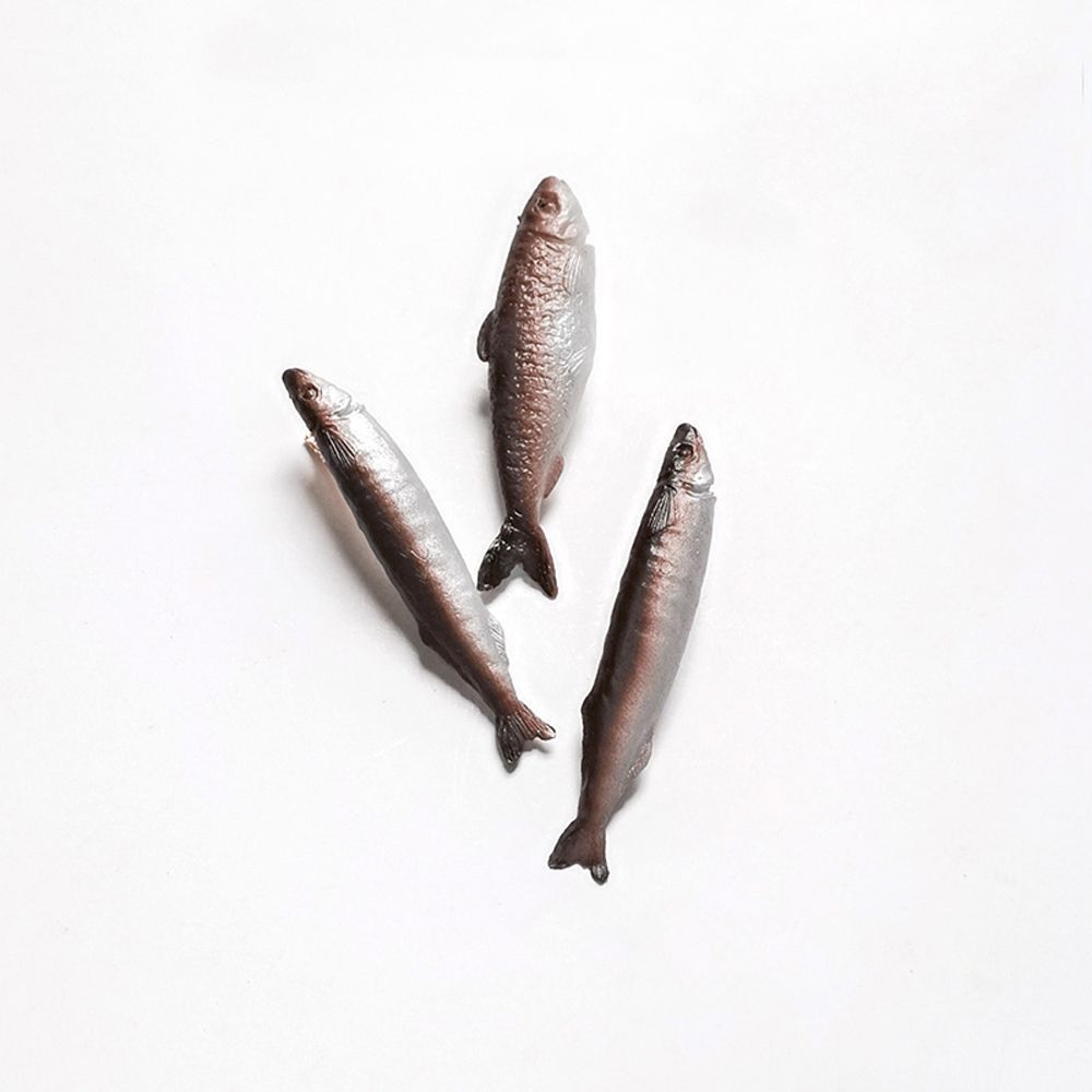 Headdress Simulated Food Creative Headwear Dried Fish Hairpin Women Hair Clip Korean Style Barrette