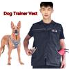 Professional Dog Training Protective Gear