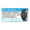 [Citizen Q&Q] Часы Q&Q Falcon Q596-851 Унисекс Взрослые Черный
