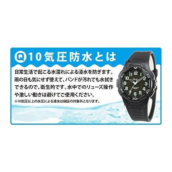[Citizen Q&Q] Часы Q&Q Falcon Q596-851 Унисекс Взрослые Черный