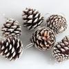 Gift Xmas Tree Bowknot Pendant DIY Pine Cones Ornament Mini Foam Pendant  Party Supply