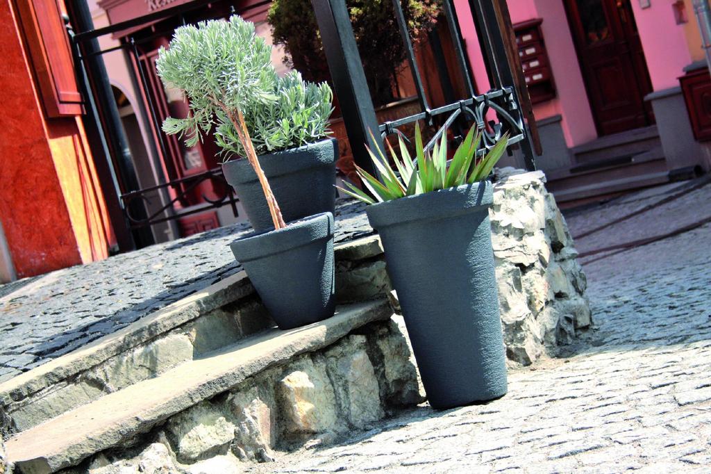 Classic DBC40 Round Flowerpot | Terracotta