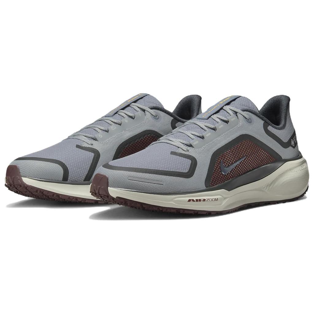 Nike Air Zoom Pegasus 41 Gore-Tex Светлый пемзовый Бордовый раздавленный