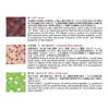 Kimono Beauty Washi Zen 3 24 листа узоры х 8 листов васи 2023 чиёгами, узоры, (По 3 штуки), Оригами, Бумага, Нет.
