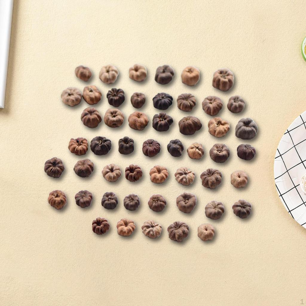 50 Pieces Mini Putka Pods Dried Fruits Crafts Supplies Decorative Pumpkins Fall Vase Filler for