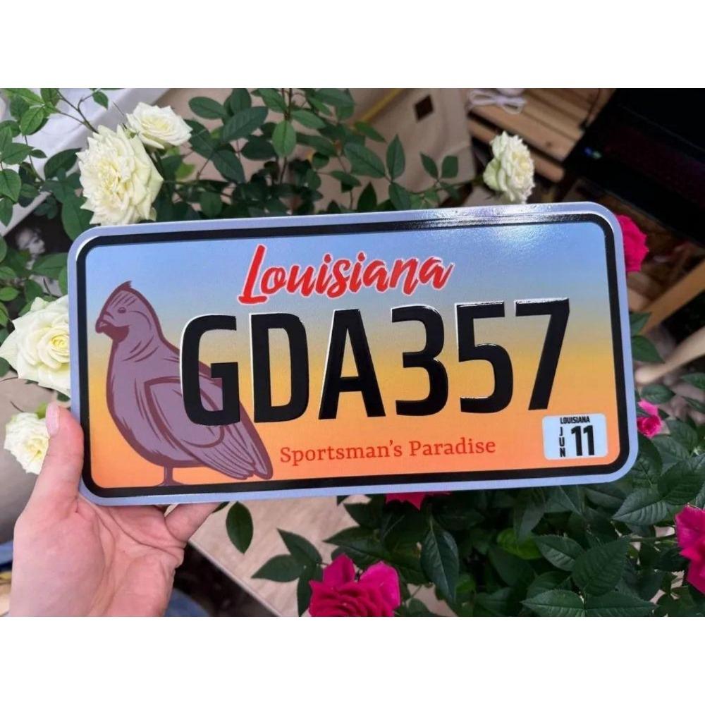 U.S. License Plate, U.S. Car License Plate, Metal, 15x30 Cm.