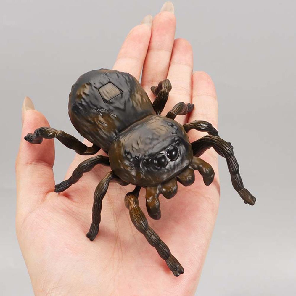 Simulation Chain Winding Insect Toys Plastic Animals Wind Up Insect Insect Model Toy Party Gifts