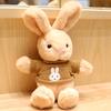 Cute Bunny Plush Toy Soft Stuffed Rabbit Doll Soothing Companion Birthday Gift for Girlfriend
