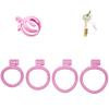 Chastity lock gay rooster cage slave chastity lock male sex toy