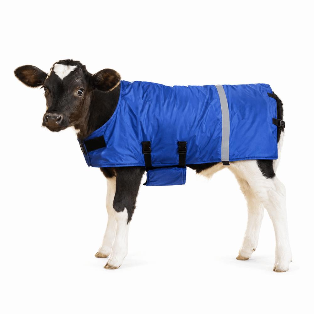 Double-Breasted Buckles Calf Warm Clothes Oxford Fabric Calf Clothing Farm Supplies Livestock