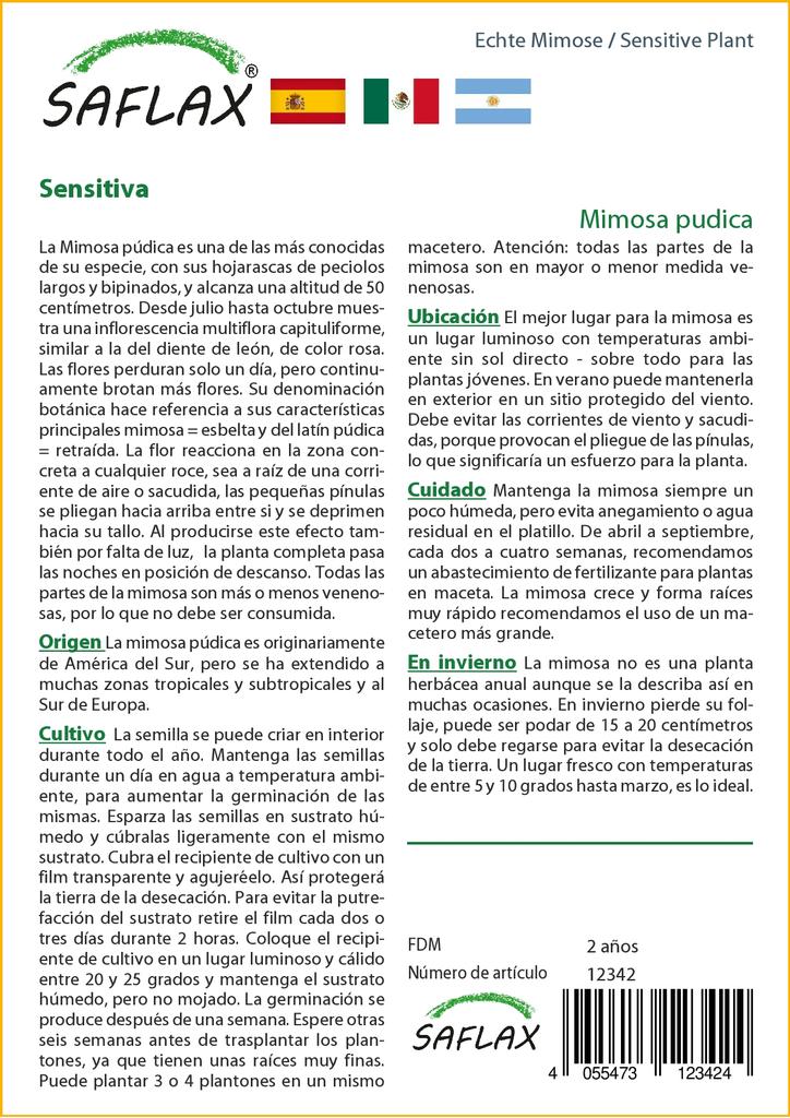 SAFLAX Sensitive Plant - 70 семян - С горшечным субстратом для лучшего выращивания - Mimosa pudica