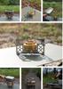 CAMPING MOON Compact Alcohol Burner/Stove AS-1-L