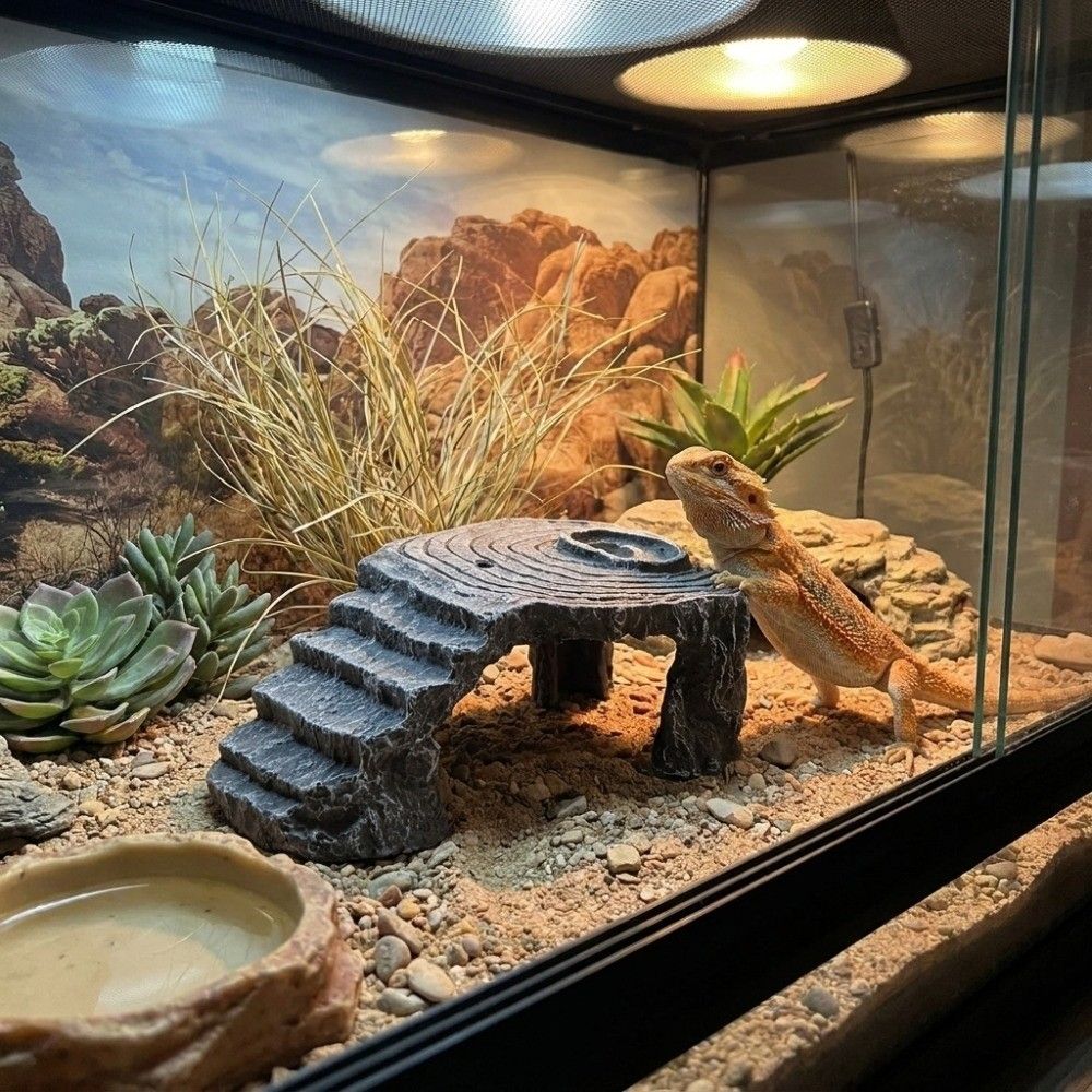 Sturdy Reptile Hiding Cave Decor Scenery Resin Cave Decor Fish Tank Landscaping