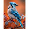 5d DIY Алмазная картина вышивка крестом животное синяя птица алмазная вышивка мозаика полный круглый дрель домашний декор