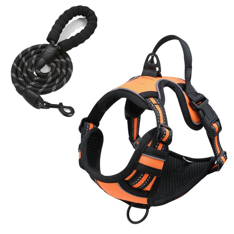 Светоотражающая двухслойная шлейка для собаки и комплект поводка с ошейником на пряжке