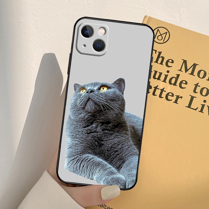 Чехол для телефона Британская короткошерстная кошка Для iPhone 17 16 15 14 11 12 13 Pro Max mini XR 16e 15 16 Plus 17 Air Полное покрытие