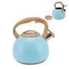 Tea Kettle 3L Teapot 304 Stainless Steel Household Whistling Tea Kettle Water Kettle Tea House Accessories
