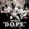 CD DOPE BOYS РАВЕН G.B.L. CITYAC  D.O.P.E.  NFCD27215 Япония ОбиЯпонский Клубный Танец Б/У