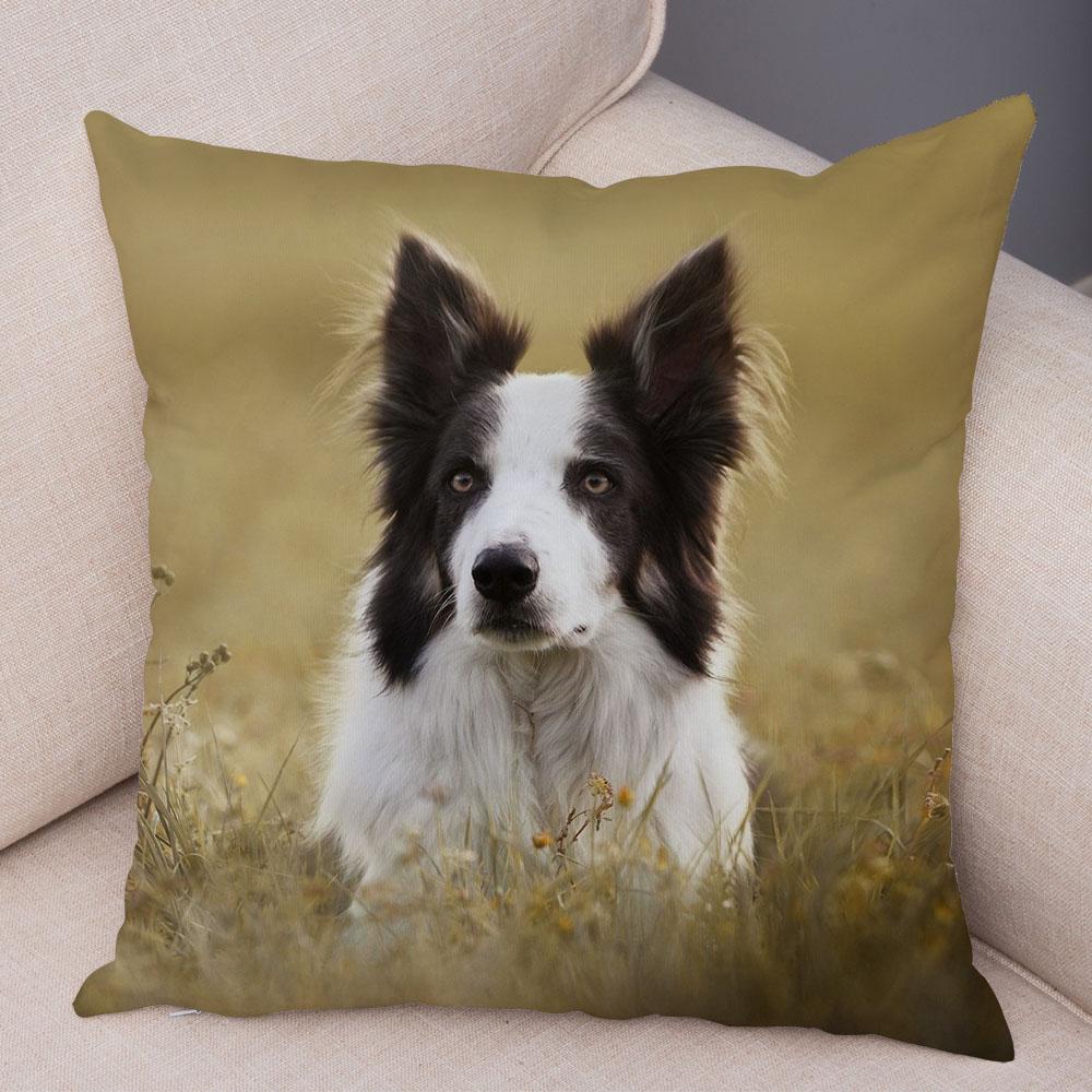 Милый питомец животное собака принт наволочка шотландский бордер колли подушка чехол диван украшение для автомобиля