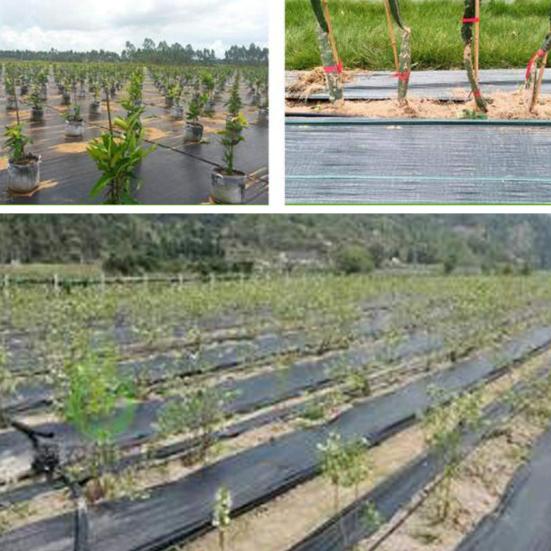 Yousheng Weed Barrier Landscape Fabric Woven Geotextile Mat Gardening Ground Cover Weed Control Cloth for Orchard Vegetable Field Driveway Walkway