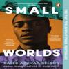 Small Worlds by Caleb Azumah Nelson Paperback Book 9780241996041