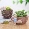 Южный двор Мультяшный Ореховый сад Смола Горшок для суккулентов – Креативный декор для дома и балкона
