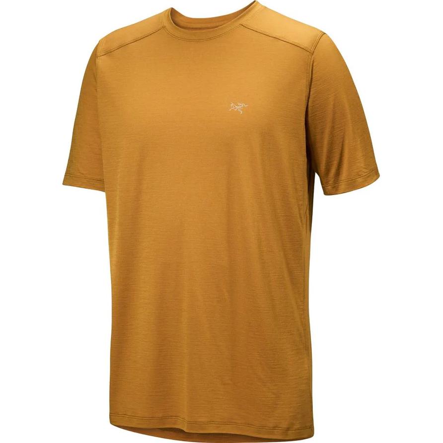 Arcteryx IONIA T-Shirts Men's Crew Neck Moderate 30573-