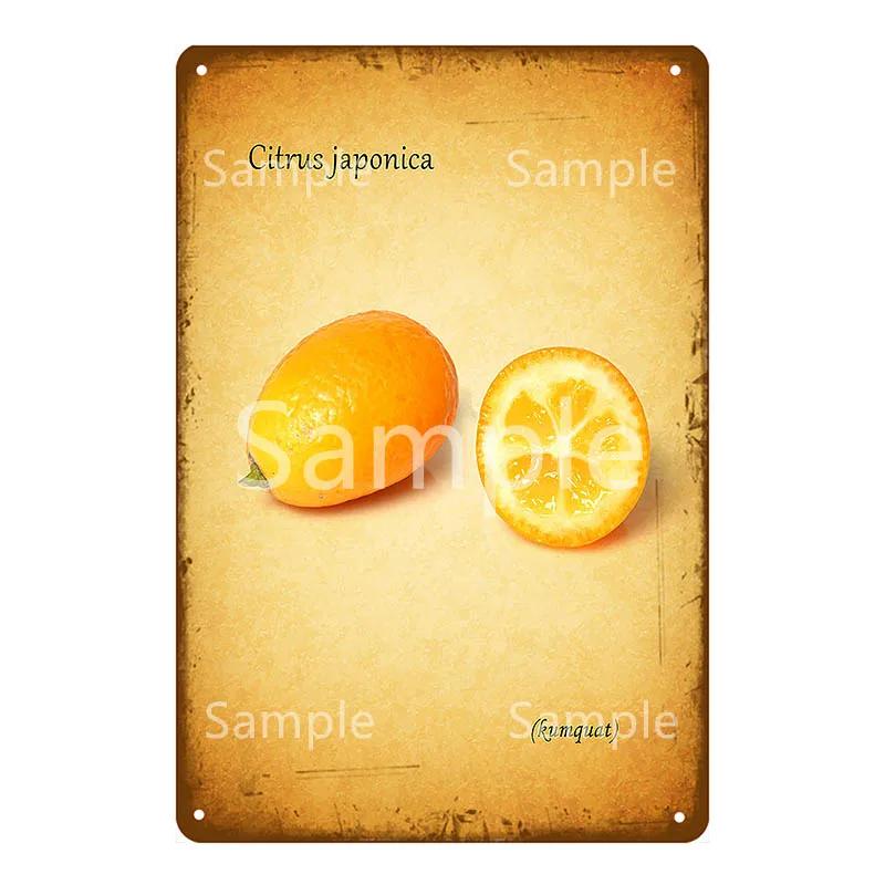 Памятная доска Thatchers Фрукты Бананы Металлическая вывеска Винтажное украшение фермы Домашний декор Наклейка на стену Магазин Живопись Постер для ресторана YL168