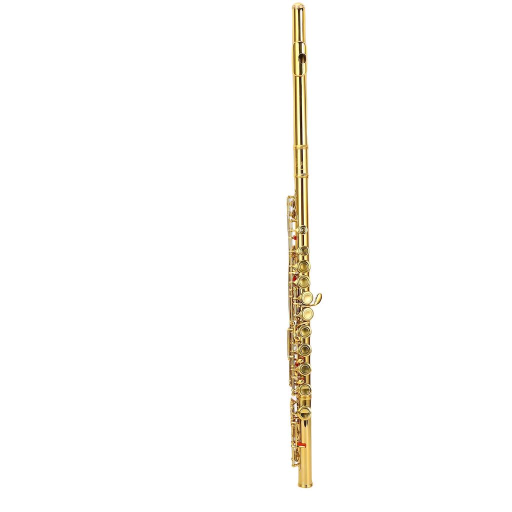 C Flute 16 Keys Closed Hole Cupronickel Flute Instrument with Split E Key for Beginner Student Adult