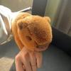 Cute Capybara Slap Clap Wristband Toy Cartoon Plush Animal Doll Clap Ring Bracelet Plush Hand Ring For Children Birthday Gifts
