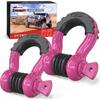 Nilight 2pcs 3/4" D-Ring Shackle with 7/8" Screw Pin Break Strength, Heavy Duty Off Road Recovery Shackle with Isolators Washers