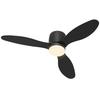 Ceiling Fan with Light and Remote Control, 3 Light Colors, 6 Speeds, Adjustable Brightness, Black