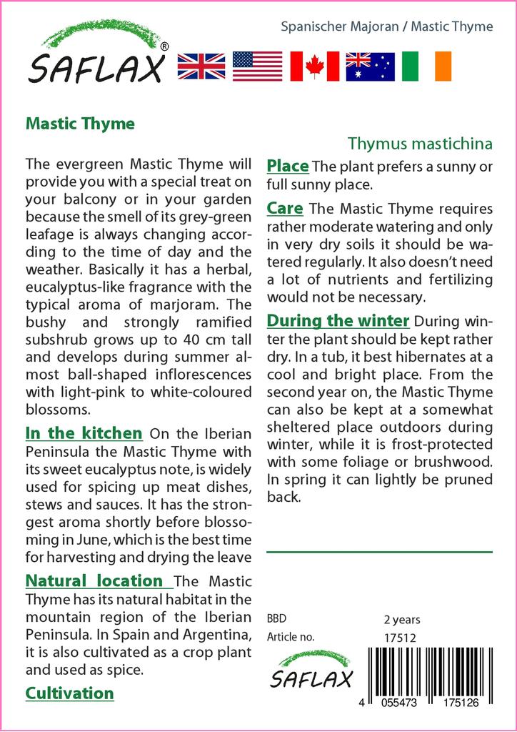 SAFLAX Подарочный набор - Тимьян мастиковый - 250 семян - С подарочной коробкой, карточкой, этикеткой и субстратом для горшков - Тимьян мастихина