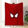 Spider Web Design with Bold Eyes Patterned blanket, flannel, suitable for all seasons, home decor, warm and cozy