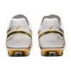 Asics Мужские кроссовки DS Light White Rich Gold 1103A068-122