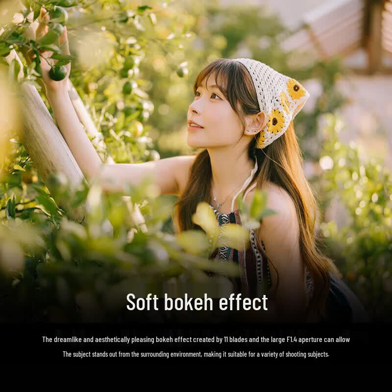Sony FE 50mm F1.4 GM Полнокадровая светосильная светосильная линза G Master