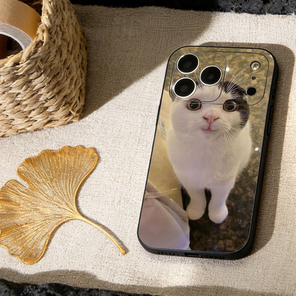Смешной чехол для телефона с изображением домашних кошек для iPhone 17, 16, 15, 14, 13, 12, 11 X XR Plus, Другие Мягкая черная крышка