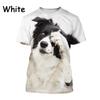 Новая популярная футболка с принтом бордер-колли 3D, модная, милая, унисекс, с изображением животных, с круглым вырезом, повседневная, с коротким рукавом