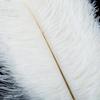 10pcs Natural White Ostrich Feathers Wedding Party Decoration