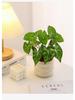 Nordic Small Potted Plant Decor - Indoor Bonsai & Bionic Greenery for Office or Living Room.