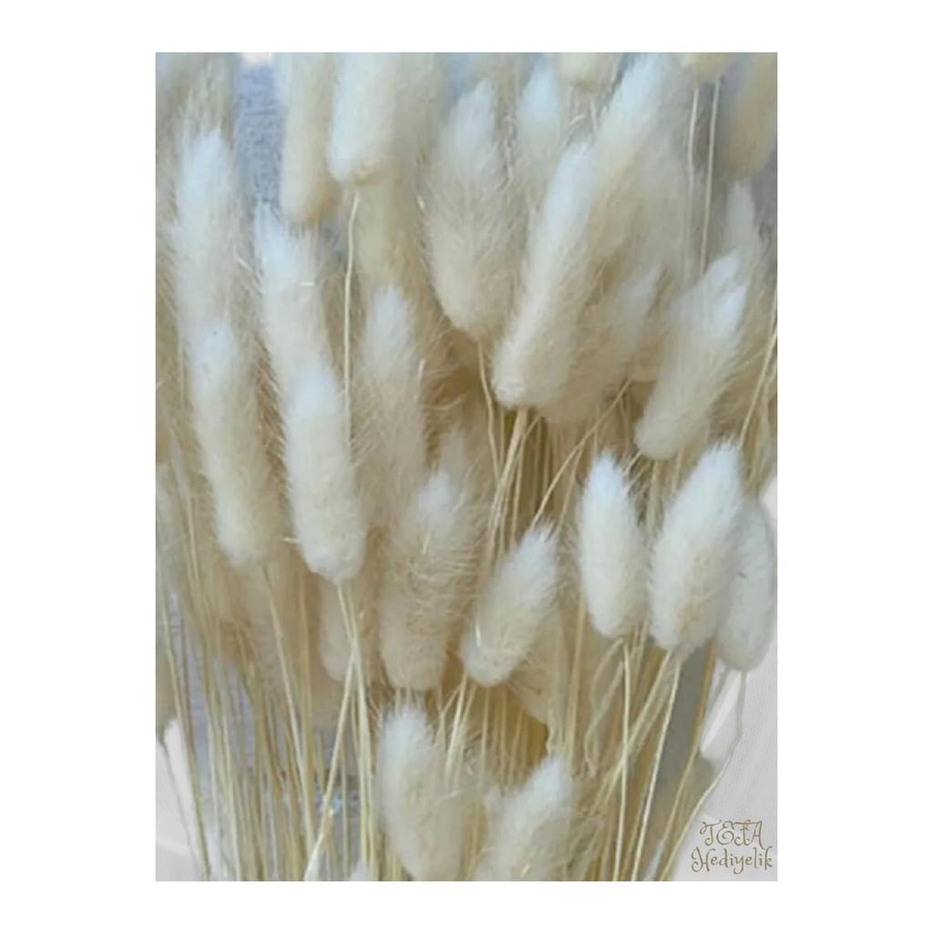 Натуральная сушеная хлопчатник, кроличий хвост, свадебный букет, композиция из цветов лагуруса, 30 веток