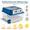 16 Eggs Incubator with Automatic Egg Turning Temperature Display and Egg Candler Light Chick Cozy Incubator for Hatching Eggs