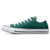 Chuck Taylor All Star Low Dragon Scale Unisex Sneakers Green A04548F