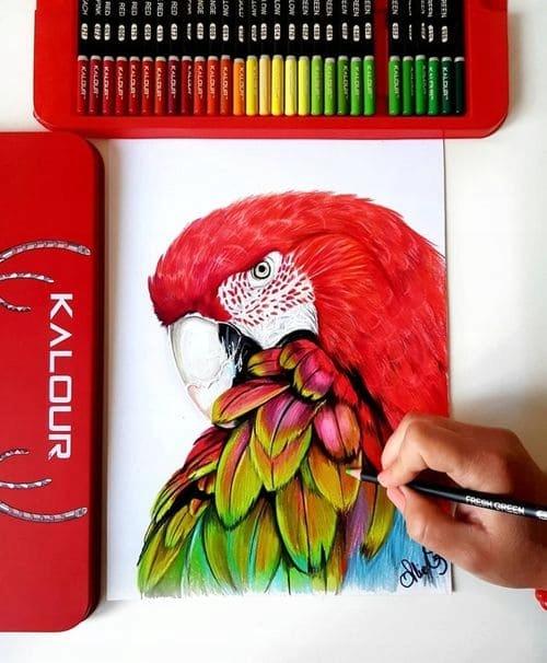 Kalour professional colored pencils set of artistic colored pencils