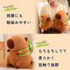 Hyack Capybara Plush Toy, Sewn Wrap, Body Pillow, Animal Toy (33cm) [Parallel Import]