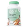 Cordyceps, 1200mg - 120 vegan caps