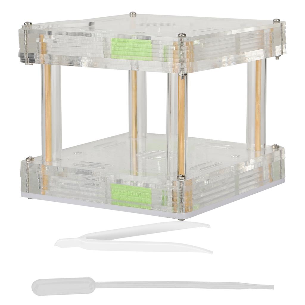 Acrylic Ant Nest Display Box Ant Nest House Hill Castle Villa Farm for Insect Educational