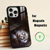 Чехол для телефона 'Девочка, которая плакала жемчугом' для iPhone 17, 16, 15, 14, 13, 12, 11 Plus, Pro Max Магнитный для беспроводной зарядки Magsafe