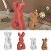 Easter Rabbit Shape Silicone Tool Reusable Easter Rabbit Chocolate Baking Tool Mousse