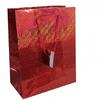 County Stationery Holographic Gift Bag (Pack of 12)
